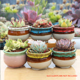 4/5/6 Pots Set Ceramic Clay Pottery Pots Succulent Flower Planter Draining Hole(Style 05# 6 Pots Set) - Side View