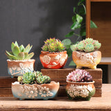 Set of 5 Succulent Plant Pots Flower Patterned with Drainage Holes - Front View