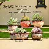 Set of 5 Succulent Plant Pots Flower Patterned with Drainage Holes - Side View