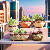 Set of 5 Succulent Plant Pots Flower Patterned with Drainage Holes - Top-Down View