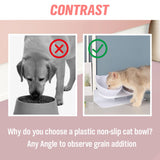 Black Double Cat Bowl Pet Bowl Stand Dog Elevated Feeder Food Water Raised Lifted - Close-Up Angle
