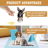 VaKa Pet Training Pad 400 Puppy Pads Toilet Pee Indoor Absorbent 60x60cm Dog - 45-Degree Angle
