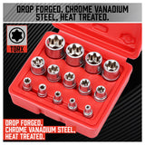 14Pc E Torx Socket Set Female Start Bit External Hex Torque E4-E24 With Case - Top-Down View