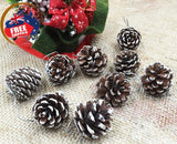 18 Christmas Natural Pine Cones Xmas Tree Hanging Home Decoration Ornament Gifts, 18x Natural w Snow Covered Pinecones - Front View