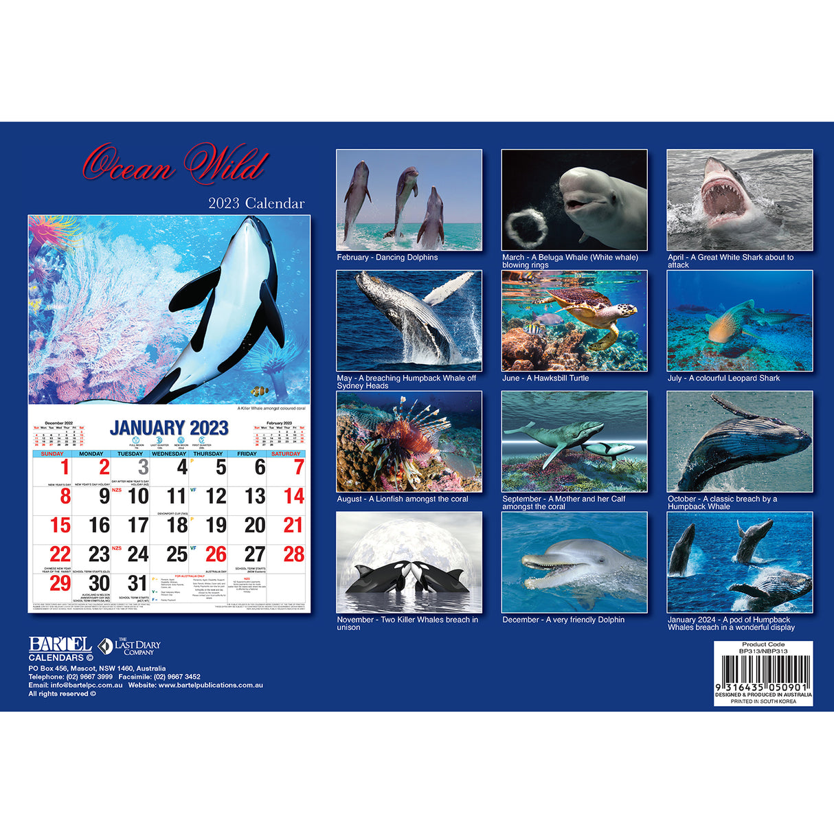 Ocean Wild ??2023 Rectangle Wall Calendar 16 Months Planner New Year Gift