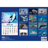 Ocean Wild ??2023 Rectangle Wall Calendar 16 Months Planner New Year Gift