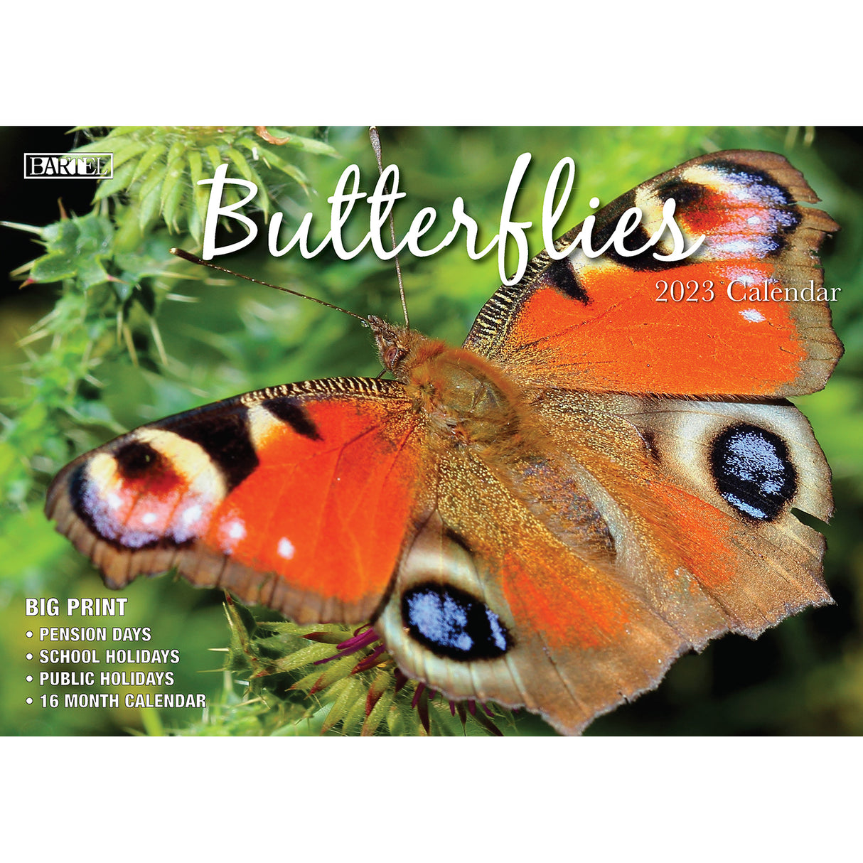 Butterflies ??2023 Rectangle Wall Calendar 16 Months Planner New Year Gift