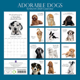 Adorable Dogs - 2024 Square Wall Calendar Pets Animals 16 Months Premium Planner - Front View