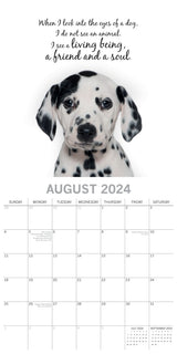 Adorable Dogs - 2024 Square Wall Calendar Pets Animals 16 Months Premium Planner - Top-Down View