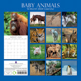 Baby Animals - 2024 Square Wall Calendar Pets Animals 16 Months Premium Planner - Front View