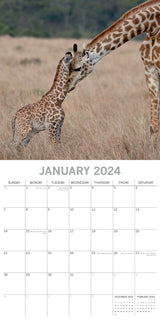 Baby Animals - 2024 Square Wall Calendar Pets Animals 16 Months Premium Planner - Side View
