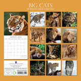 Big Cats - 2024 Square Wall Calendar Wildlife Animals 16 Months Premium Planner