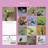 Birds - 2024 Square Wall Calendar Pets Animals 16 Months Premium Planner Gift - Front View