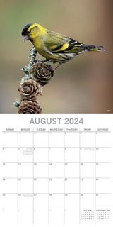 Birds - 2024 Square Wall Calendar Pets Animals 16 Months Premium Planner Gift - Top-Down View