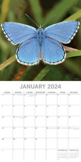 Butterflies 2024 Square Wall Calendar Natural Animals 16 Months Premium Planner - Side View