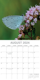 Butterflies 2024 Square Wall Calendar Natural Animals 16 Months Premium Planner - Top-Down View