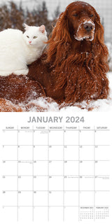 Cats & Dogs - 2024 Square Wall Calendar Pets Animals 16 Months Premium Planner - Side View