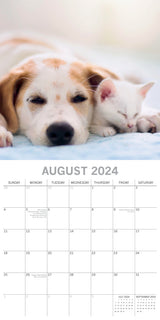 Cats & Dogs - 2024 Square Wall Calendar Pets Animals 16 Months Premium Planner - Top-Down View