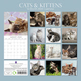 Cats & Kittens 2024 Square Wall Calendar Pets Animals 16 Months Premium Planner - Front View
