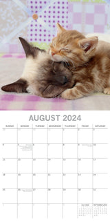 Cats & Kittens 2024 Square Wall Calendar Pets Animals 16 Months Premium Planner - Top-Down View