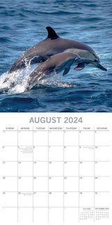 Dolphins - 2024 Square Wall Calendar Sea Animals 16 Months Premium Planner Gift - Top-Down View