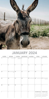 Donkeys - 2024 Square Wall Calendar Pets Animals 16 Months New Year Planner Gift - Side View