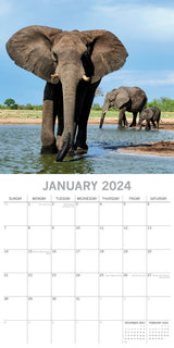 Elephants 2024 Square Wall Calendar Pets Animals 16 Months New Year Planner Gift