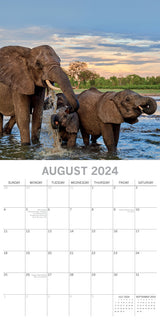 Elephants 2024 Square Wall Calendar Pets Animals 16 Months New Year Planner Gift - Top-Down View