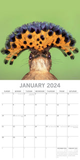 Exotic Birds - 2024 Square Wall Calendar Pets Animals 16 Months Premium Planner - Side View