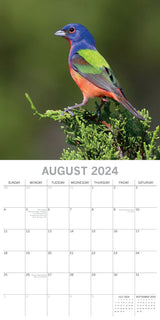 Exotic Birds - 2024 Square Wall Calendar Pets Animals 16 Months Premium Planner - Top-Down View