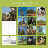 Goats in Trees - 2024 Square Wall Calendar Pets Animals 16 Month New YearPlanner - Front View