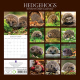 Hedgehogs - 2024 Square Wall Calendar Cute Pets Animals 16 Month Premium Planner - Front View
