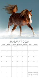 Horses - 2024 Square Wall Calendar Pets Animals 16 Months New Year Planner Gift - Side View