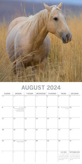 Horses - 2024 Square Wall Calendar Pets Animals 16 Months New Year Planner Gift - Top-Down View