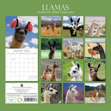 Llamas - 2024 Square Wall Calendar Pets Animals 16 Months New Year Planner Gift - Front View