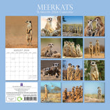 Meerkats - 2024 Square Wall Calendar Pets Animals 16 Months Premium Planner Gift - Front View