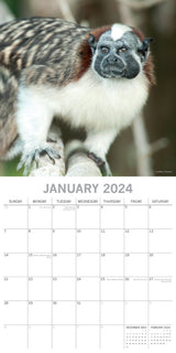 Monkey Business 2024 Square Wall Calendar Pets Animals 16 Months Premium Planner - Side View