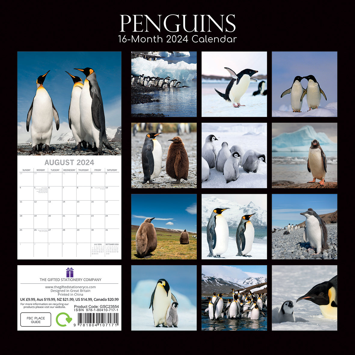 Penguins - 2024 Square Wall Calendar Pets Animals 16 Month New Year Gift Planner