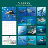 Sharks 2024 Square Wall Calendar Pets Animals 16Month New Year Christmas Planner - Front View