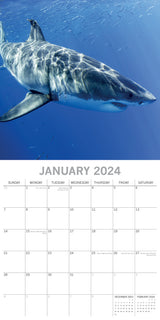 Sharks 2024 Square Wall Calendar Pets Animals 16Month New Year Christmas Planner - Side View