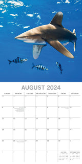 Sharks 2024 Square Wall Calendar Pets Animals 16Month New Year Christmas Planner - Top-Down View