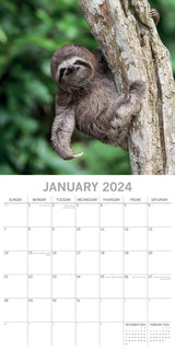 Sloths - 2024 Square Wall Calendar Pets Animals 16 Months New Year Gift Planner - Side View