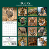Tigers - 2024 Square Wall Calendar Pets Animals 16 Months New Year Gift Planner - Front View