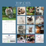 Top Cats - 2024 Square Wall Calendar Pets Animals 16 Months Premium Planner Gift - Front View