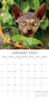 Top Cats - 2024 Square Wall Calendar Pets Animals 16 Months Premium Planner Gift - Side View