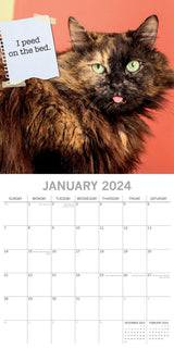 Cat Shaming - 2024 Square Wall Calendar Pets Animals 16 Months Premium Planner - Front View