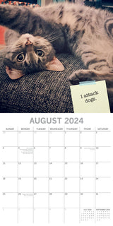 Cat Shaming - 2024 Square Wall Calendar Pets Animals 16 Months Premium Planner - Side View