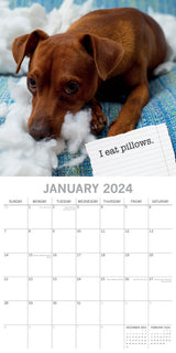 Dog Shaming - 2024 Square Wall Calendar Pets Animals 16 Months Premium Planner - Side View