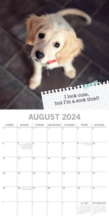 Dog Shaming - 2024 Square Wall Calendar Pets Animals 16 Months Premium Planner - Top-Down View