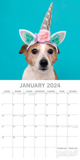 Dogs as Animals 2024 Square Wall Calendar Pets Animals 16 Months Premium Planner
